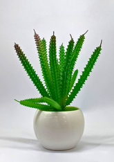 Artificial Cactus Plant in Glossy White Ceramic Pot